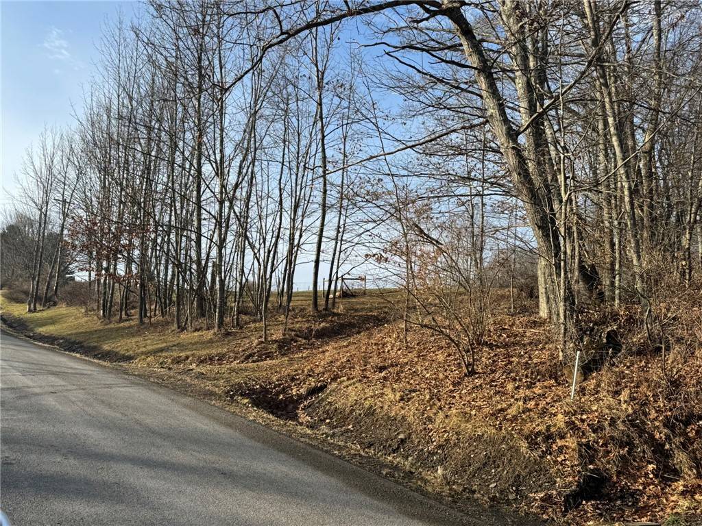 Sidney, NY 13838,0 Pine Hill RD