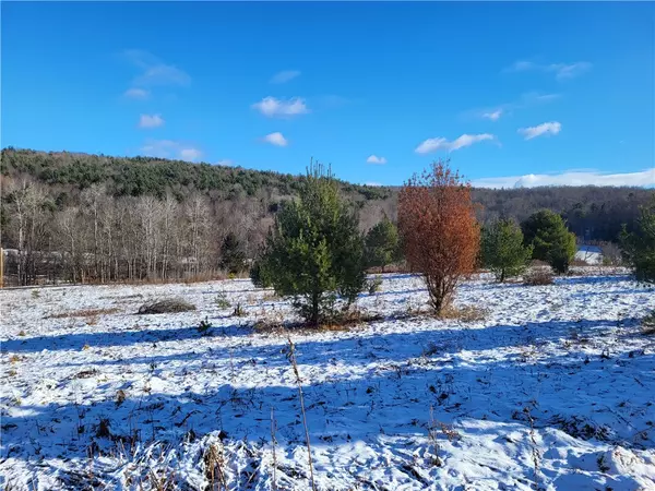Laurens, NY 13796,0 Mary Brown Hill RD