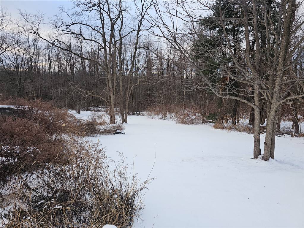Williamson, NY 14589,4331 Ridge RD