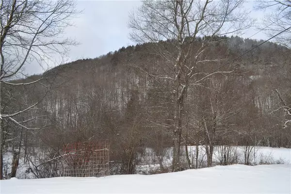 Roscoe, NY 12776,844 Horton Brook RD