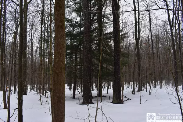Gerry, NY 14740,Harris Hill Road