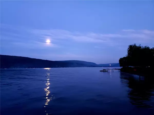 Honeoye, NY 14471,6024 West Willow Point PT