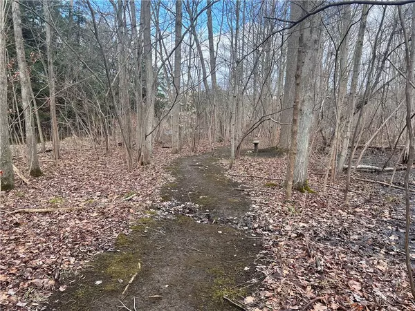 Akron, NY 14006,0 Ryther RD