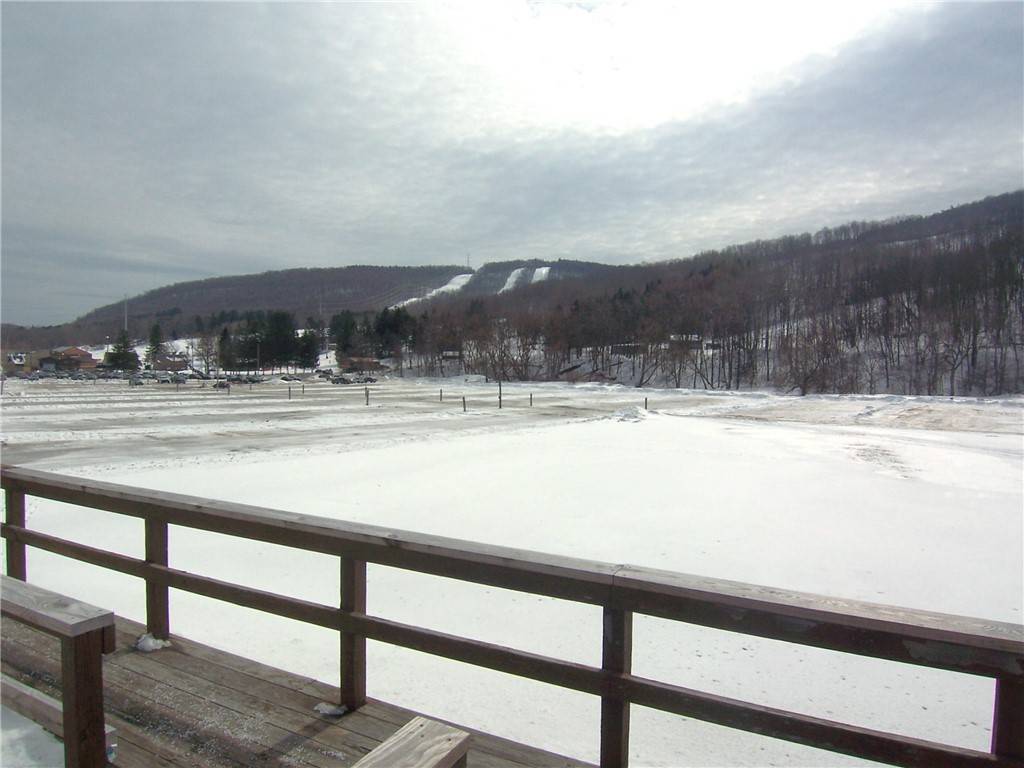 Cortland, NY 13045,1912 State Route 392 Unit 16