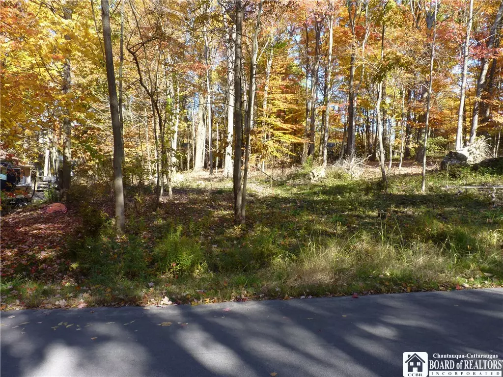 Bemus Point, NY 14712,Scandia DR