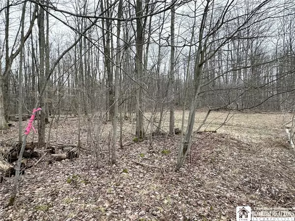 Jamestown, NY 14701,0 Donelson RD