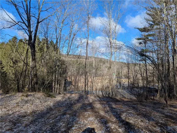 Oneonta, NY 13820,702 East ST