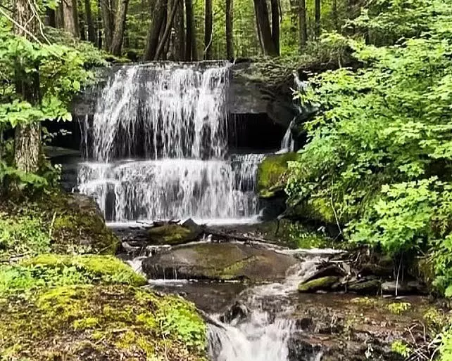 Margaretville, NY 12455,Bragg Hollow RD