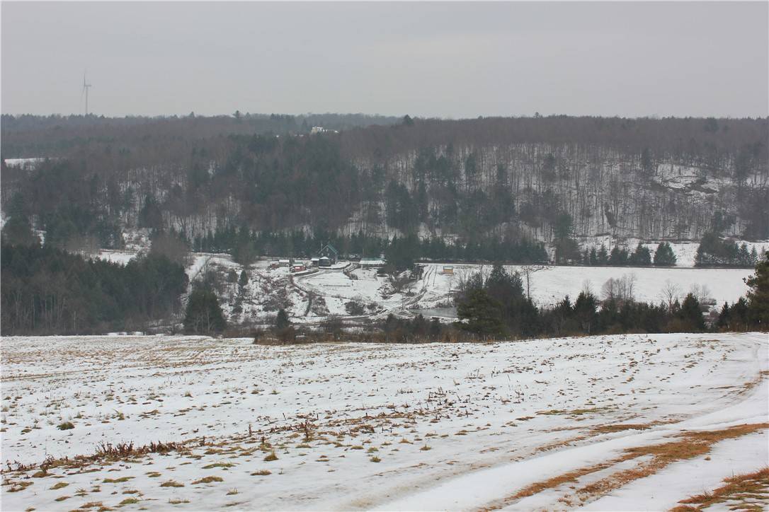 Windsor, NY 13865,500 Farnham RD
