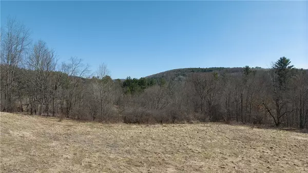 Masonville, NY 13804,0 Foster RD