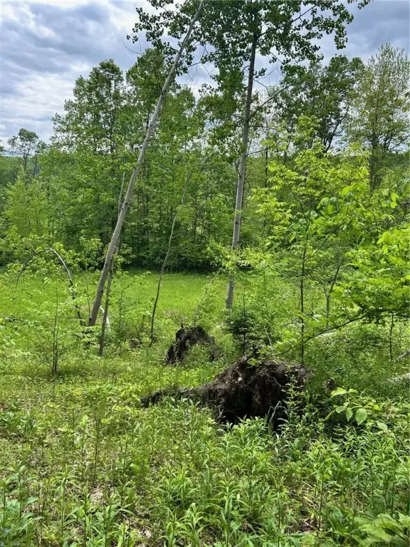 Mount Upton, NY 13809,512 County Road 18