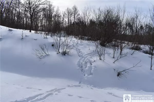 Franklinville, NY 14737,0 Morgan Hollow