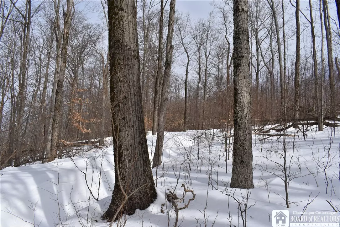 Franklinville, NY 14737,0 Morgan Hollow