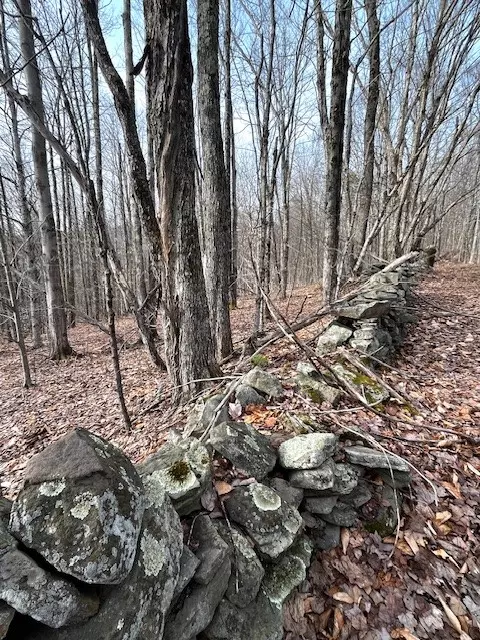Bovina Center, NY 13740,Lot 10 Alpine DR