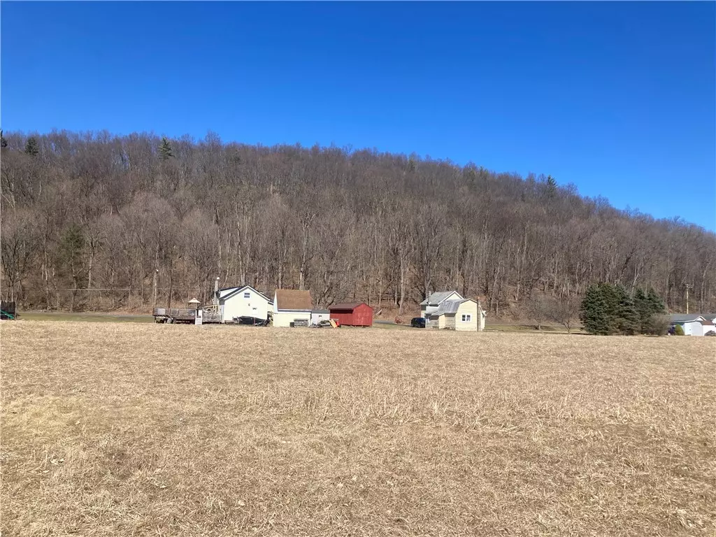 Odessa, NY 14869,Lot 2 MacDowell RD