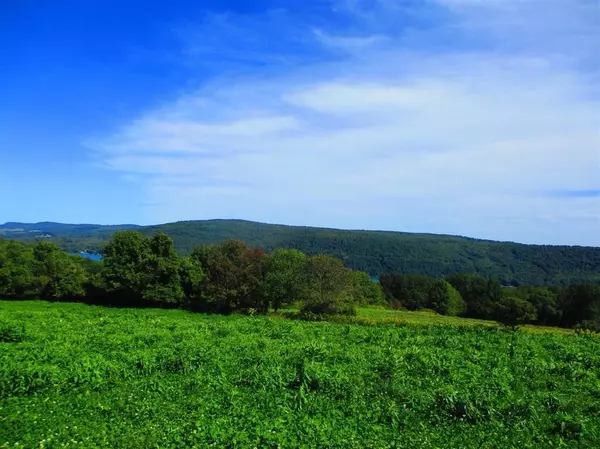 Cooperstown, NY 13326,0 County Highway 28