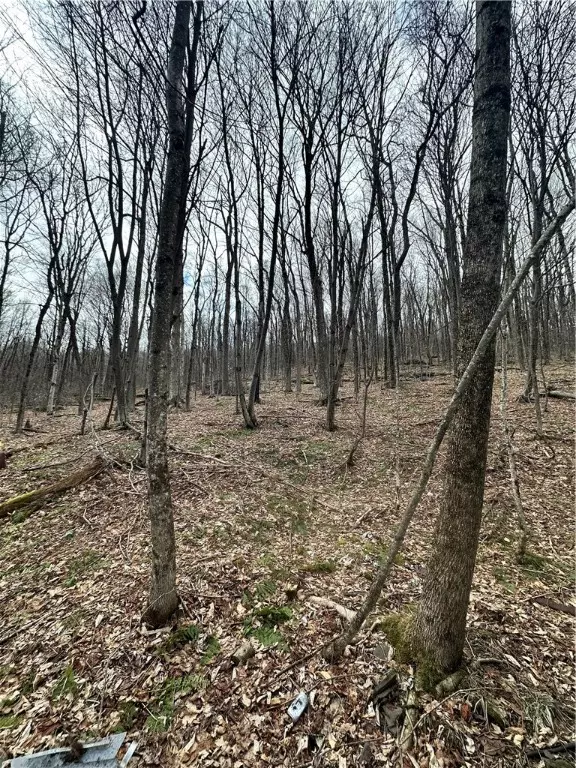 Stamford, NY 12167,Kims WAY