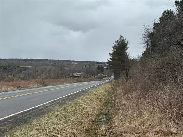 Ithaca, NY 14850,0 W MILLER RD