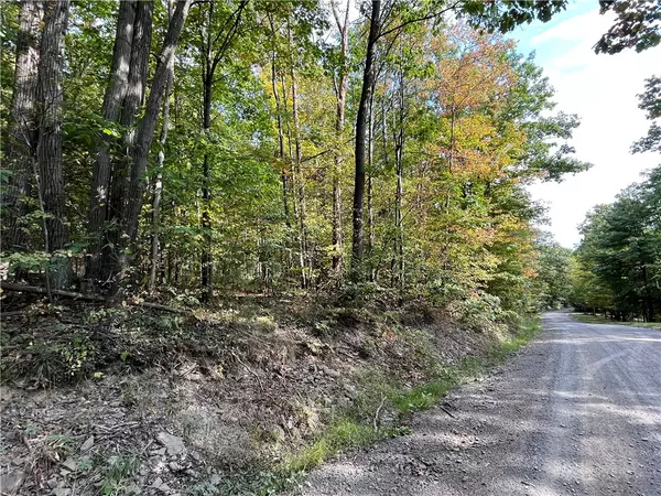 Erin, NY 14838,Thayer RD