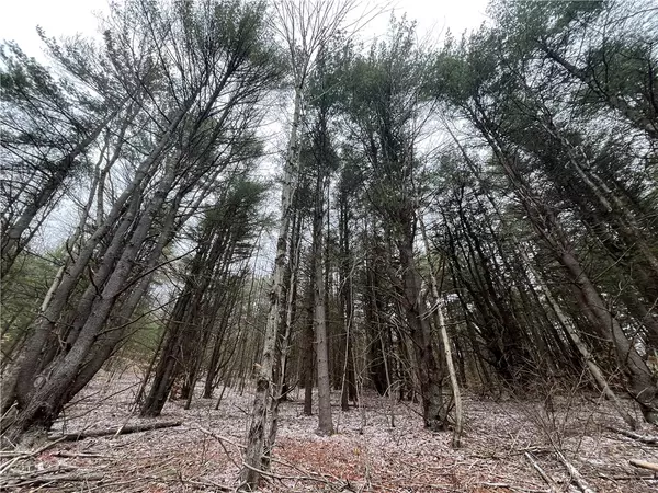 Erin, NY 14838,Thayer RD