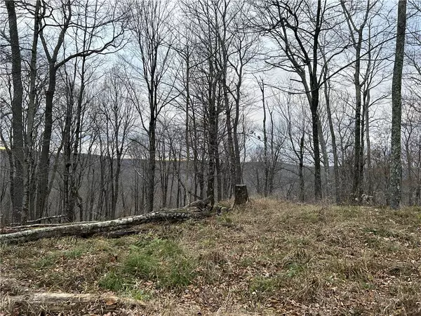 Roscoe, NY 12776,Upper Punchbowl RD