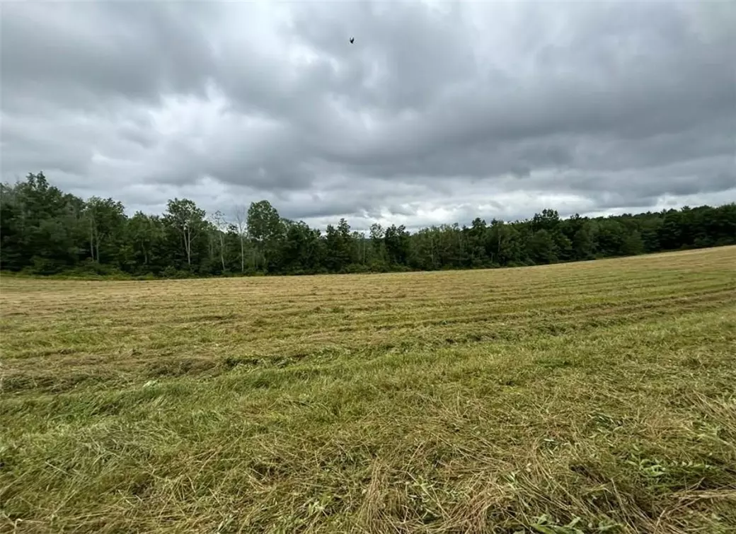 Lindley, NY 14858,Lot 3, 00 Browntown RD