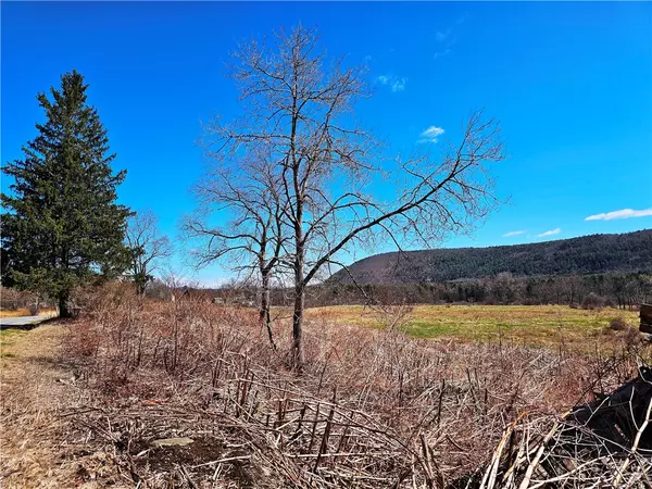 Milford, NY 13834,3214 State Highway 28
