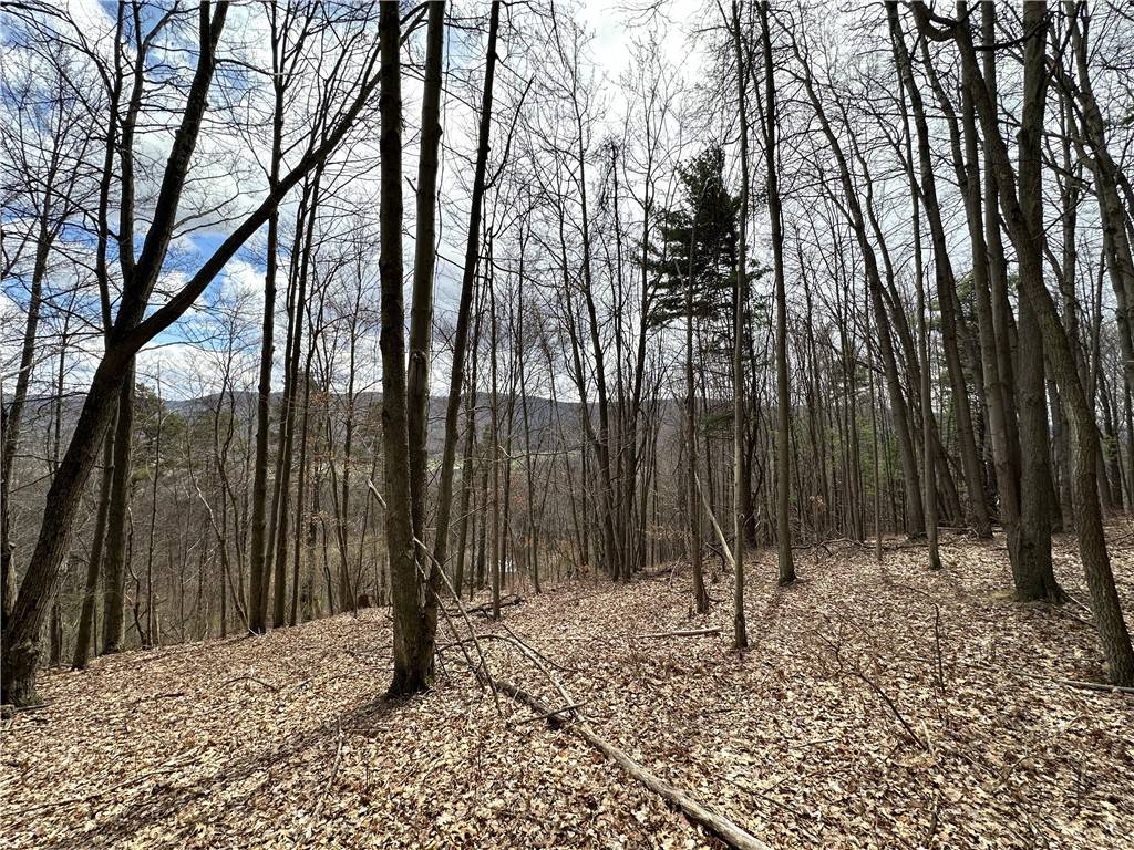 Hammondsport, NY 14840,7607 Snell RD