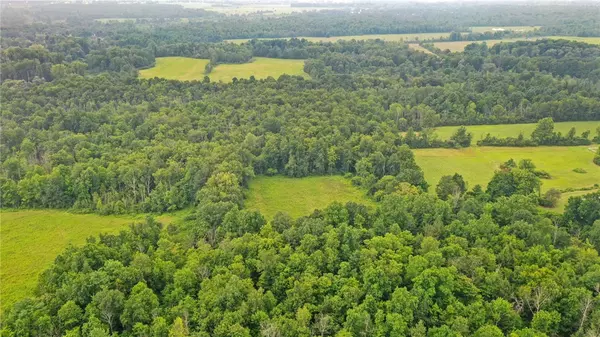 Freeville, NY 13068,xxx W Dryden RD