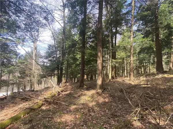 Hartwick, NY 13348,Lot A Piermott LN