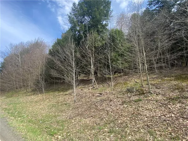 Hartwick, NY 13348,Lot A Piermott LN