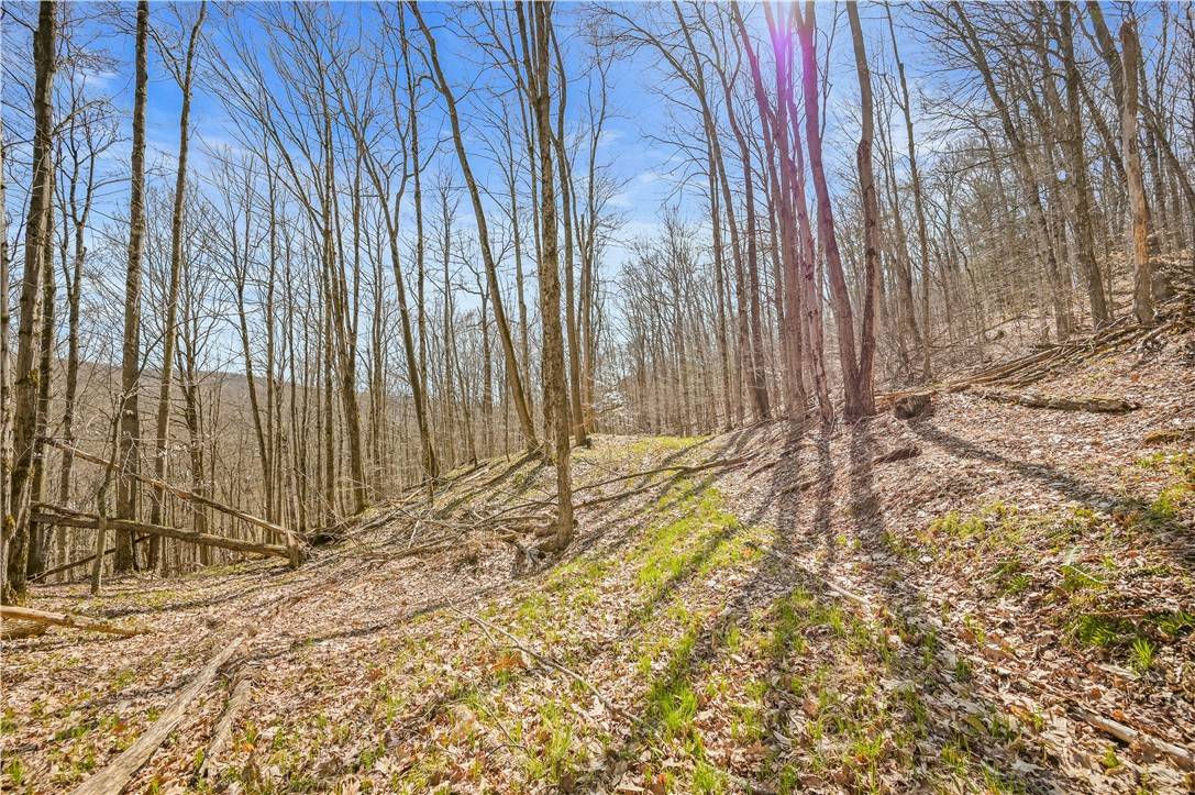 East Worcester, NY 12064,L9.113 Lutheranville RD