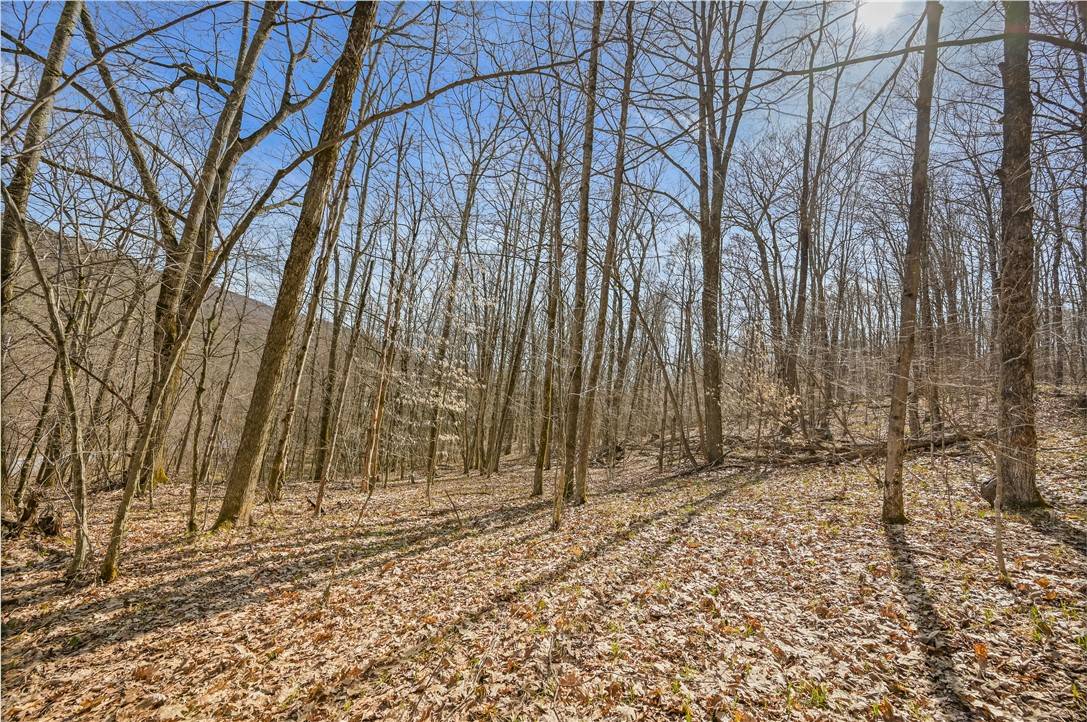 East Worcester, NY 12064,L9.113 Lutheranville RD