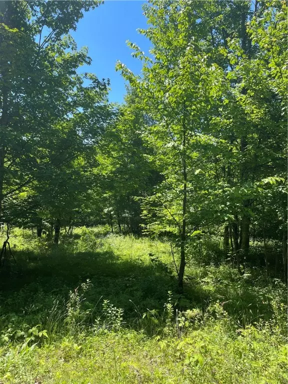 Stamford, NY 12167,3-4 Turkey LN