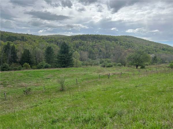 Addison, NY 14801,6424 State Route 417