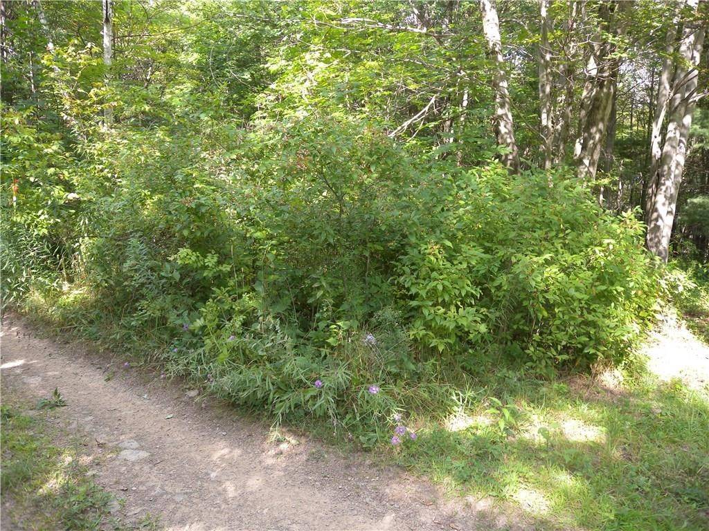 Addison, NY 14801,1454 Crane LN