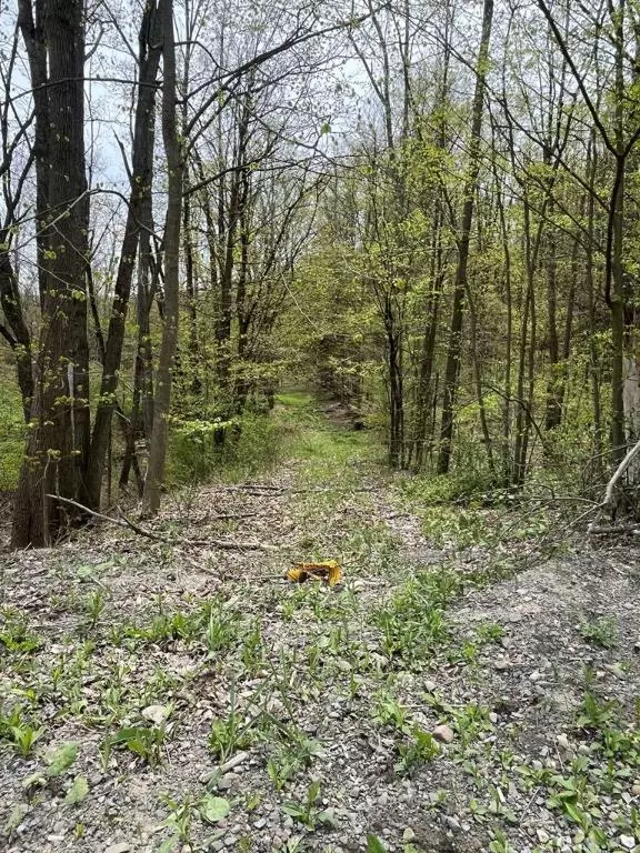 Beaver Dams, NY 14812,0 Hornby RD