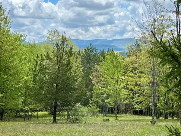 Andes, NY 13731,Crescent Hill RD
