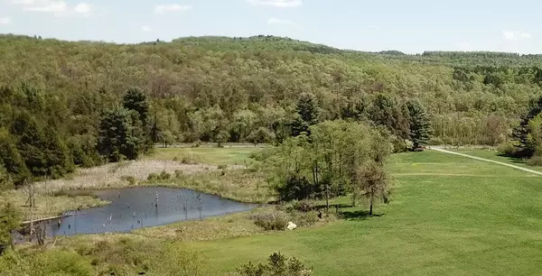 Wilcox, PA 15870,995 Brawand RD