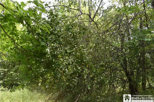 South Dayton, NY 14138,Foe Road