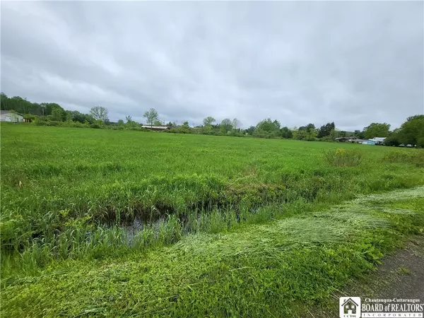 South Dayton, NY 14138,Dredge RD