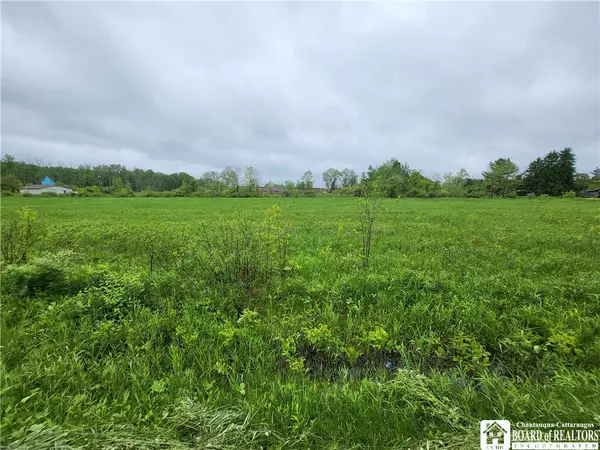 South Dayton, NY 14138,Dredge RD