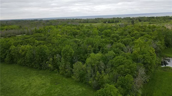 Albion, NY 14411,0 Yates Carlton RD