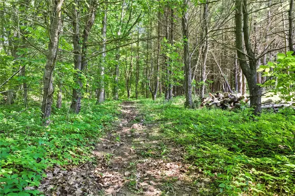 Hammondsport, NY 14840,10732 State Route 54