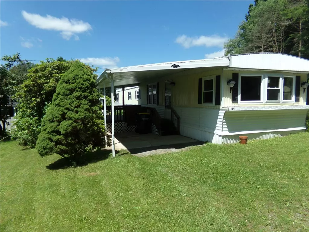 Afton, NY 13730,124 Johnell Park LN