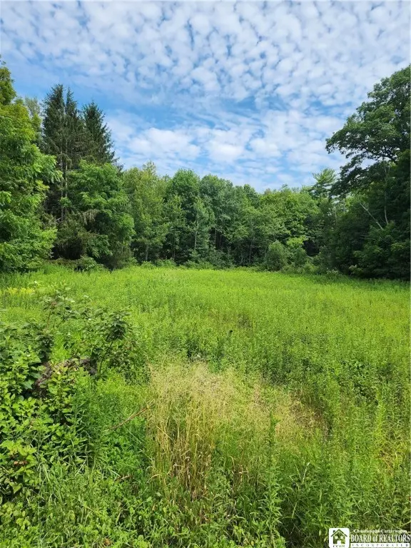 Findley Lake, NY 14736,0 School ST