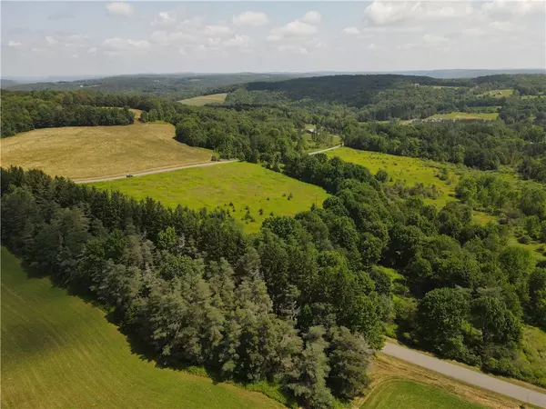 Pittsfield, NY 13411,Ramey RD