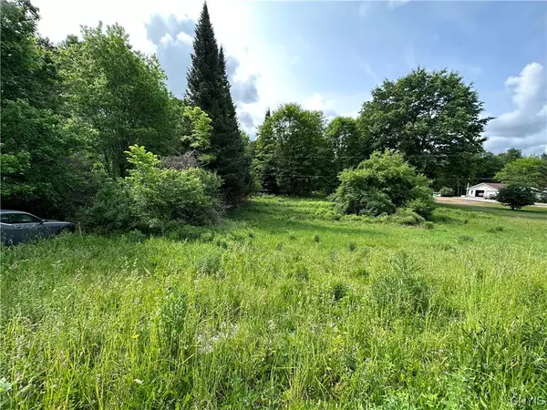 Gouverneur, NY 13642,197 River RD