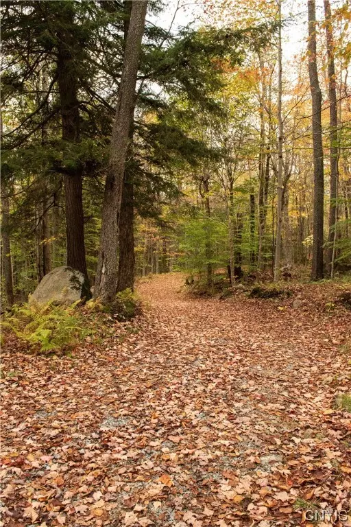 Forestport, NY 13338,2541 Little Beaver Lake Rd E DR