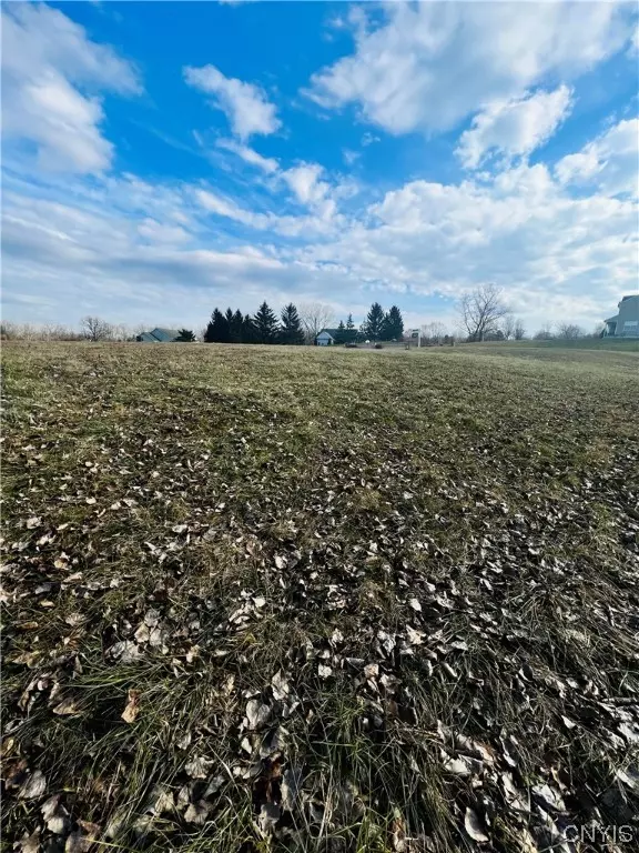 Canastota, NY 13032,0 Will New BLVD